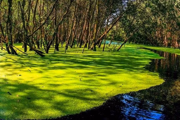 Về An Giang ngắm miền Tây Nam Bộ thu nhỏ tuyệt đẹp Ve An Giang ngam mien Tay Nam Bo thu nho tuyet dep