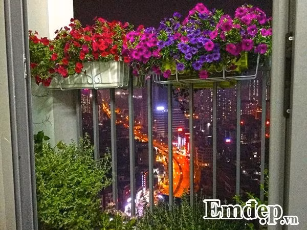 Ban công hoa rực rỡ về đêm.