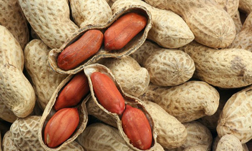 Nhung nguoi nay du “co chet” cung khong duoc an cu lac