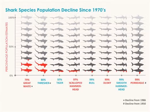 Có tới 99% các loài cá mập nhất định đã bị tiêu diệt. Có khoảng 440 loài cá mập được biết đến, mặc dù số lượng có thể lớn hơn rất nhiều. Đáng buồn thay, khoảng 3 con cá mập bị giết mỗi giây trên tổng số lượng trung bình 73-100,000,000 cá mập mỗi năm.