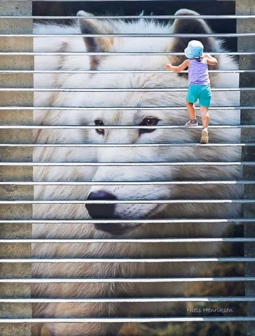 Nhìn xa bạn có nghĩ bức họa chân thực này lại là một dãy cầu thang không?