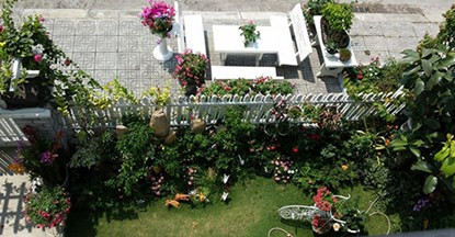 Trước nhà, chị để bộ bàn ghế đá và những chậu hoa để ngồi nghỉ ngơi, cũng như để con chị vui đùa với bạn bè.