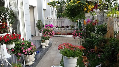 Chị Ngọc Thảo, hiện đang là giảng viên của một trường cao đẳng ở TP.HCM. Chị luôn khiến những người trong giới chơi hoa "ghen tị" khi sở hữu một vườn hoa tuyệt đẹp, với rất nhiều loại hoa khoe sắc sặc sỡ.