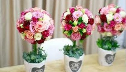 Ảnh minh hoạ: Internet