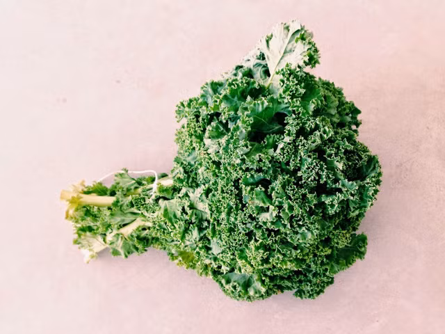 10. Cải xoăn Kale, giúp dễ dàng tiêu hóa Đặc tính: Loại bắp cải này giàu vitamin C. B cũng như chất xơ giúp tiêu hóa tốt. Nó cũng chứa các hợp chất chống oxy hóa giúp chống ung thư và là nguồn canxi thực vật. Cách sử dụng: Hãy chọn loại có lá xoăn khép lại và sẫm màu. Bạn có thể sử dụng để làm món lasagna, súp, bánh nướng, các món xào…, làm gỏi hoặc làm salat với một chút muối và dầu oliu. Để làm lá mềm và dai thì hãy cọ xát lá với nhau.