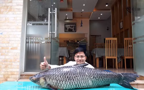 Con cá trắm đen này dài gần 1,5m, được bán cho một chủ nhà hàng ở Hà Nội với giá 45 triệu đồng. (Ảnh: Dân Việt)