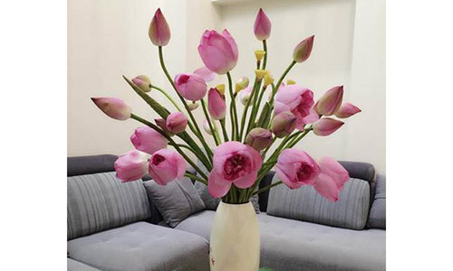 Trang tri nha cua trong thang co hon the nao de ruoc may man?