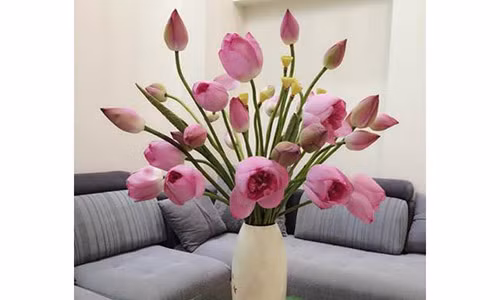 Trang tri nha cua trong thang co hon the nao de ruoc may man?