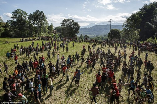 Trong những ngày diễn ra nghi lễ Manene, khung cảnh ở các ngôi làng trên đảo Sulawesi không khác gì những cảnh quay trong bộ phim “Xác sống nổi dậy” khiến nhiều người phải nổi da gà.