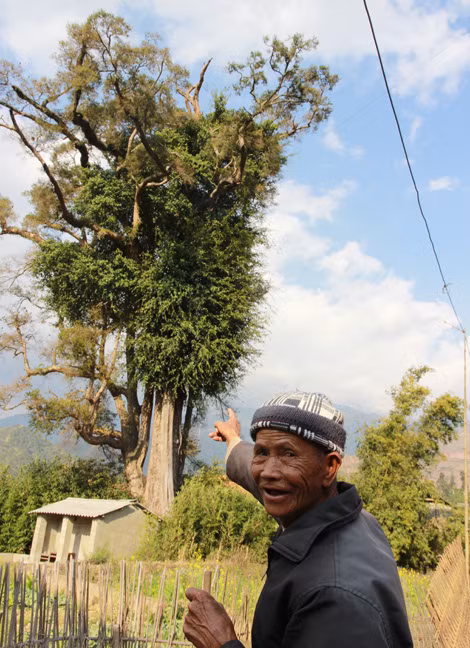 Bi an 'cay than' khong lo ngan tuoi khong dam den gan o Son La