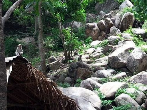 Nhung chuyen thot tim vi khi thoi chien tranh vung That Son-Hinh-2