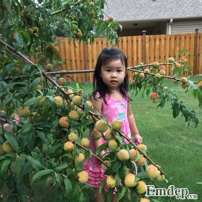 Con gái chị Minh cũng được 'hưởng' không gian xanh và làm quen với cây cỏ ngay trong vườn nhà.