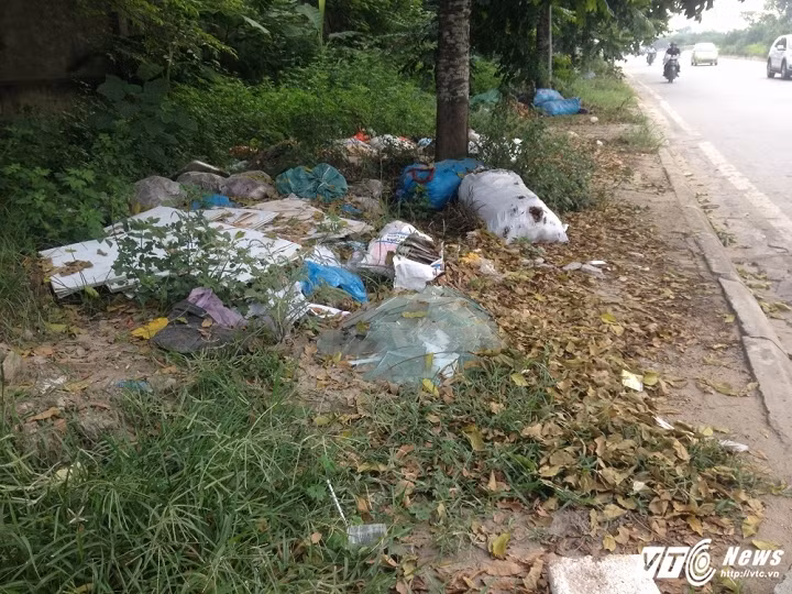 Đây là những đống rác do người dân sinh sống gần khu vực thiếu ý thức xả ra.