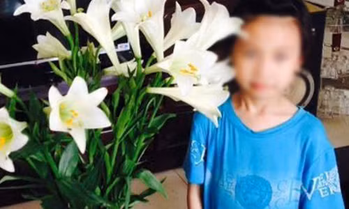 Chiec but di lac su vo tam va thoi quen do loi