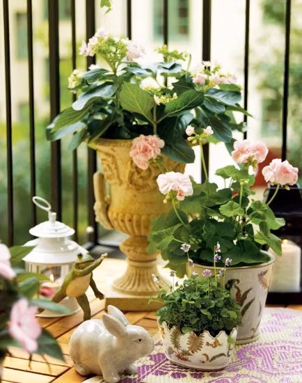 Đây sẽ là biện pháp để điều hòa không khí lâu dài. Những chậu cây sẽ mang sức sống đến ngôi nhà và cũng là cách để bạn thêm hứng khởi đón mùa hè này.