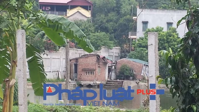 Cách mà mọi người ở đây biết đến và “nhận diện” ngôi biệt thự nguy nga này bằng những từ mỹ miều như khu nhà: xứng triệu đô, to nhất vùng, xây dựng trên diện tích đất rộng nhiều ha gần trụ sở UBND phường Hạp Lĩnh. Ghi nhận của phóng viên Phapluatplus.vn tại ngôi biệt thự hoành tráng của gia đình ông Nguyễn Công Ngọ, nguyên Bí thư Tỉnh ủy, Chủ tịch HĐND tỉnh Bắc Ninh toạ lạc tại khu Trần, phường Hạp Lĩnh, TP Bắc Ninh.