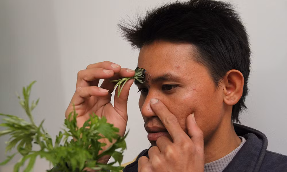 Mẹo hơ ngải cứu “đánh bay” nghẹt mũi Meo ho ngai cuu “danh bay” nghet mui