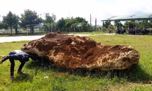 So phan hon da nang hon 20 tan bi “giam“