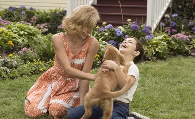 Phim bi tay chay vi nhan vien trong doan nguoc dai dong vat-Hinh-2