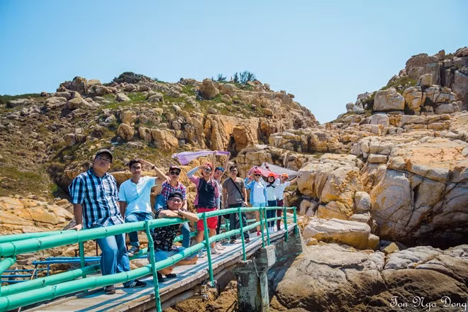 Đảo Yến là nơi đáng để các bạn tham quan, phù hợp để tham quan từ tháng 4 đến cuối tháng 8, vì đây là mùa thời tiết khô ráo và thời gian thu hoạch tổ yến được chia làm 2 lần trong năm (tháng 3 và tháng 8). Đi vào thời gian này, các bạn sẽ được xem cách nhân viên thu hoạch tổ yến, rất thú vị.