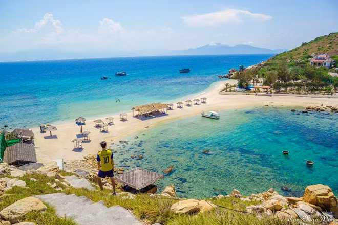 Để đi được đảo Yến, các bạn tới cảng Cầu Đá, Nha Trang, mua vé tàu ra Đảo. Vì đây là đảo thuộc quản lý du lịch của công ty Yến sào Khánh Hòa, các bạn không thể đi tự túc mà phải mua vé. Du khách chỉ được tham quan trong ngày, với giá 350.000 đồng một người, bao gồm ăn sáng, nước yến, bánh ngọt, cơm trưa và trái cây nhẹ buổi chiều.