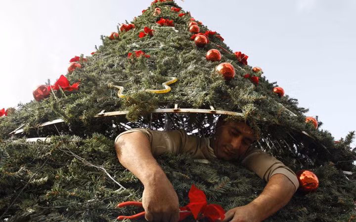 Thiết kế cây thông Noel.