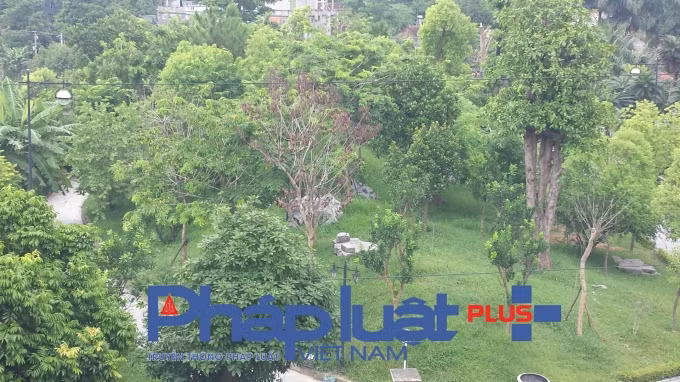 Gần đây gia đình tiếp tục mua và hoàn thiện khâu san lấp mặt bằng tạo hồ bán nguyệt. Tổng thể khuôn viên và diện tích đi kèm tạo ra không gian “trong mơ” khiến ai cũng phải "nể phục".