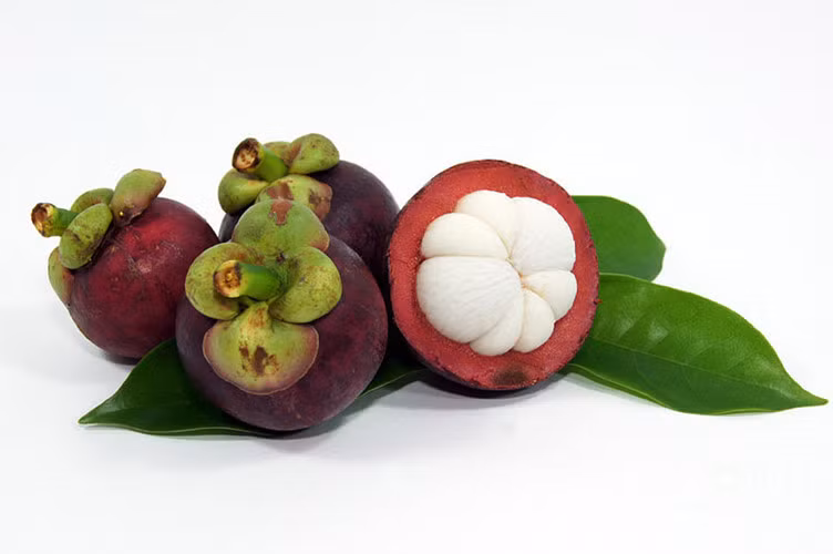 Tăng cường sinh lực: Trong phần ăn được của quả măng cụt rất giàu dưỡng chất như: chất đạm, chất béo, chất carbonhydrates, chất xơ, calsium, chất sắt, phốt pho,… và vitamin như B1, C.