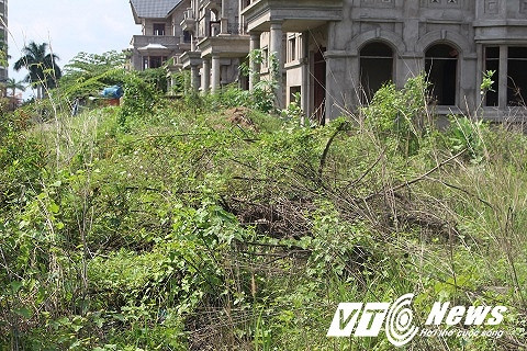 Có mặt tại khu biệt thự Trung Tiến (Công ty Trung Tiến), PV nhận thấy gần 30 căn biệt thự được xây dựng kiên cố, gồm 3 tầng chỉ cần ốp lát gạch, sơn lại là có thể sử dụng được nhưng không có người ở. Công trình gồm 3 cổng ra vào và bị đóng chặt cửa bằng cửa sắt đã hoen gỉ, cỏ cây bao phủ toát lên sự hoang tàn, lãnh lẽo. Bên trong căn biệt thự bắt đầu có dấu hiệu xuống cấp. Nhiều vị trí nằm trong căn biệt thự xuất hiện rạn nứt, một số nơi rong rêu bao phủ. Xung quanh căn hộ này cỏ cây mọc um tùm, rác thải đổ đống chẳng khác gì một bãi đất hoang.