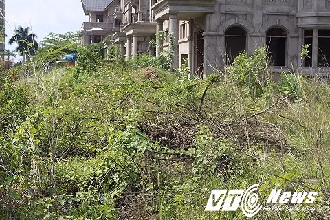 Có mặt tại khu biệt thự Trung Tiến (Công ty Trung Tiến), PV nhận thấy gần 30 căn biệt thự được xây dựng kiên cố, gồm 3 tầng chỉ cần ốp lát gạch, sơn lại là có thể sử dụng được nhưng không có người ở. Công trình gồm 3 cổng ra vào và bị đóng chặt cửa bằng cửa sắt đã hoen gỉ, cỏ cây bao phủ toát lên sự hoang tàn, lãnh lẽo. Bên trong căn biệt thự bắt đầu có dấu hiệu xuống cấp. Nhiều vị trí nằm trong căn biệt thự xuất hiện rạn nứt, một số nơi rong rêu bao phủ. Xung quanh căn hộ này cỏ cây mọc um tùm, rác thải đổ đống chẳng khác gì một bãi đất hoang.