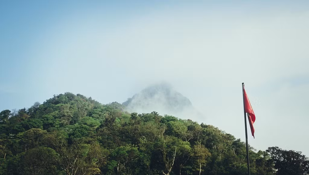 Để leo đến các đỉnh của Tam Đảo hoặc xa hơn thường mất tới cả buổi hoặc cả ngày. Tuy nhiên, khung cảnh hùng vĩ, bồng bềnh trên mây chắc chắn không làm bạn thất vọng.