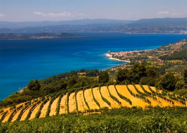 Phong cảnh trên đảo hấp dẫn sự chú ý của nhiều người.