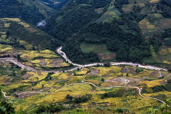 Y Tý mùa lúa chín rất thơm. Thứ hương từ lúa mới, theo gió len lỏi đến từng nếp nhà, khiến bạn cứ vấn vương mãi khi ra về.