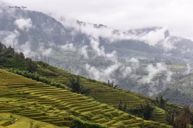 Leo lên những đỉnh cao nhìn xuống, thấy mây len lỏi giữa các ngọn cây như những sợi tơ, tôi chợt ngỡ ngàng trước thiên nhiên diệu kỳ. Phải chăng tôi đã phải lòng nơi này?