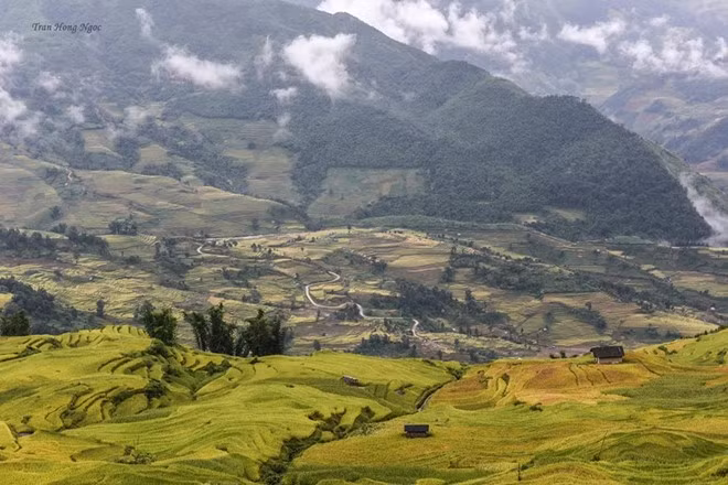 Ôm cả biển vàng vào trong tầm mắt, tôi thấy mình là người thật may mắn. Tôi hít hà thật lâu hương vị ngọt ngào của đất trời, thanh lọc cơ thể sau một hành trình dài.