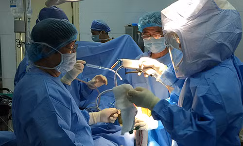 Nội soi ghép xương sụn tự thân tránh thay khớp nhân tạo Noi soi ghep xuong sun tu than tranh thay khop nhan tao