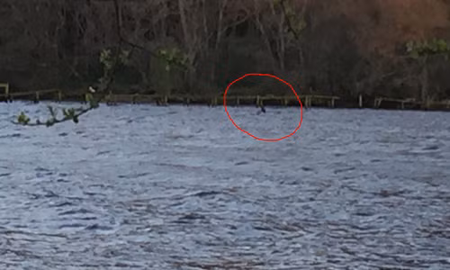 “Dung toc gay” voi gia thuyet quai vat ho Loch Ness tai xuat