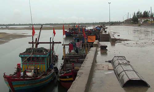 Hai san duoc danh bat xa bo, nguoi mua van khong tin
