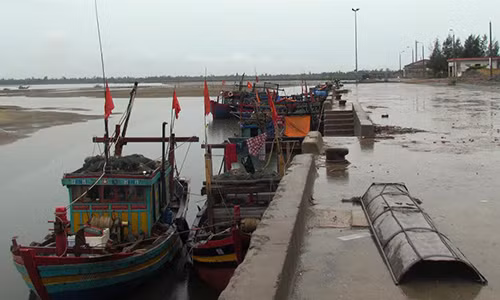 Hai san duoc danh bat xa bo, nguoi mua van khong tin