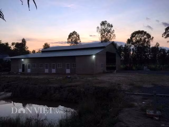 Phat hoang voi tom hum hung du cua nguoi Trung Quoc tai Viet Nam-Hinh-3