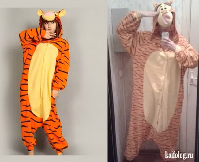 Hổ này chắc là "hổ lai" rồi.