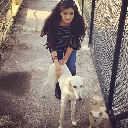 Công chúa Mahra đứng thứ 7 trong danh sách thừa kế của hoàng gia, chính vì vậy ngay từ khi mới sinh, cô nàng đã được cha cho đứng tên sở hữu vô số tài sản giá trị, bao gồm cả bất động sản và cổ phiếu tại các công ty dầu mỏ trong nước. Cô được tạp chí Exprez bình chọn là 1 trong “10 nàng công chúa sở hữu khối tài sản khủng nhất thế giới”. Ảnh: Internet