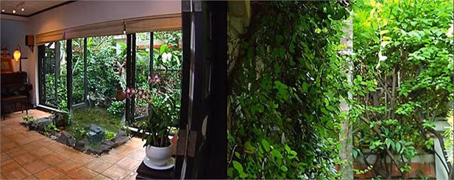 Không gian xanh mát...