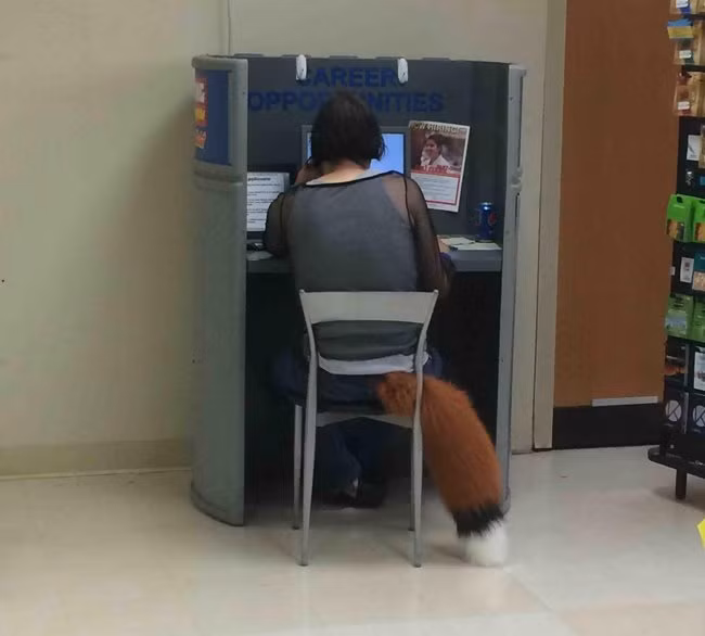 Cuối cùng cũng lộ cái đuôi ra rồi nhé.