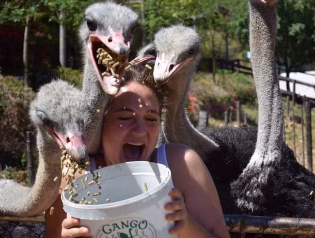 Nhanh lên nào, đói bụng quá rồi.