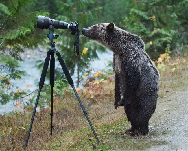 Hôm nay chụp được nhiều ảnh đẹp quá.