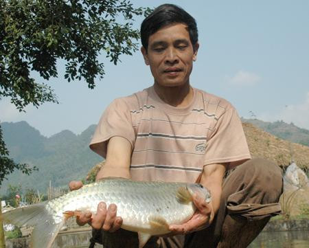 Ngo ngang loai ca than khien “nha giau cung phai an de”-Hinh-2