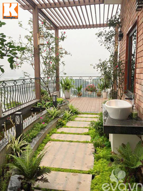 Ngoài hoa hồng, ban công còn có thêm bể nước nhỏ để trồng sen, súng...