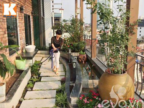 Kể về khu vườn sân thượng xinh xắn của mình, chị chia sẻ: “Khoảng sân thượng của nhà chỉ rộng chừng 30 mét vuông thôi nhưng tôi hơi 'tham' nên cây gì cũng muốn trồng. Tôi đã phải hết sức kiềm chế để vườn không bị ‘quá tải’. Mỗi ngày, tôi thường mất đến hàng tiếng để tưới hết chỗ cây ở cả sân thượng và ban công các tầng nên toàn lọ mọ làm vườn tới khuya ”.