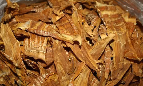 An qua nhieu mang, tac ruot suyt chet